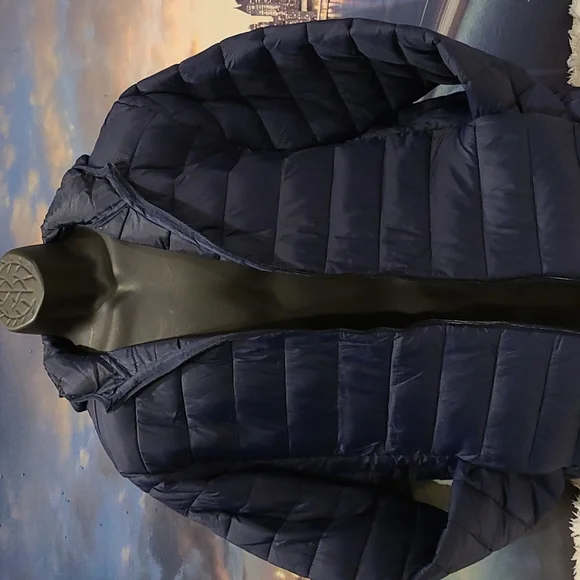 Bleu Grandeur Coat - Picture 2 of 9